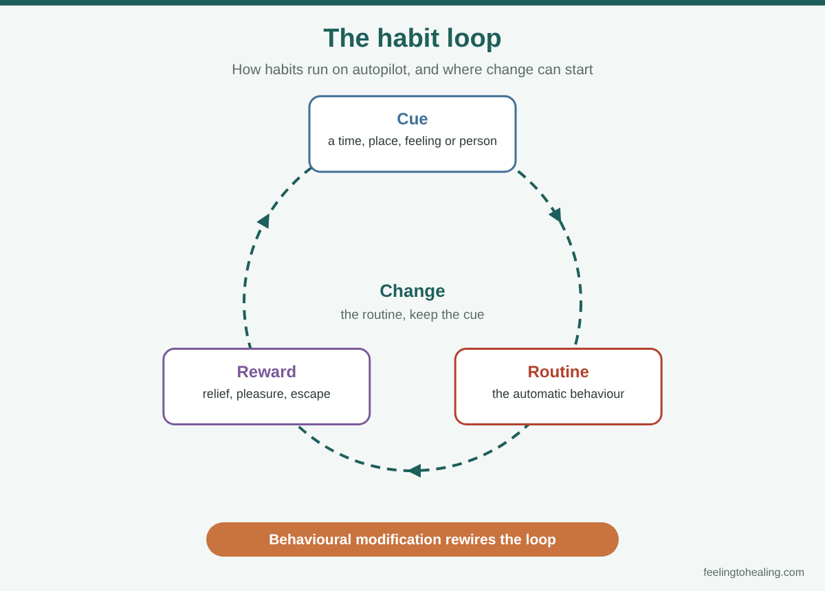 Behavioural Modification Therapy in London and Online 2 Diagram of the habit loop: cue, routine and reward, showing how behavioural modification changes the routine