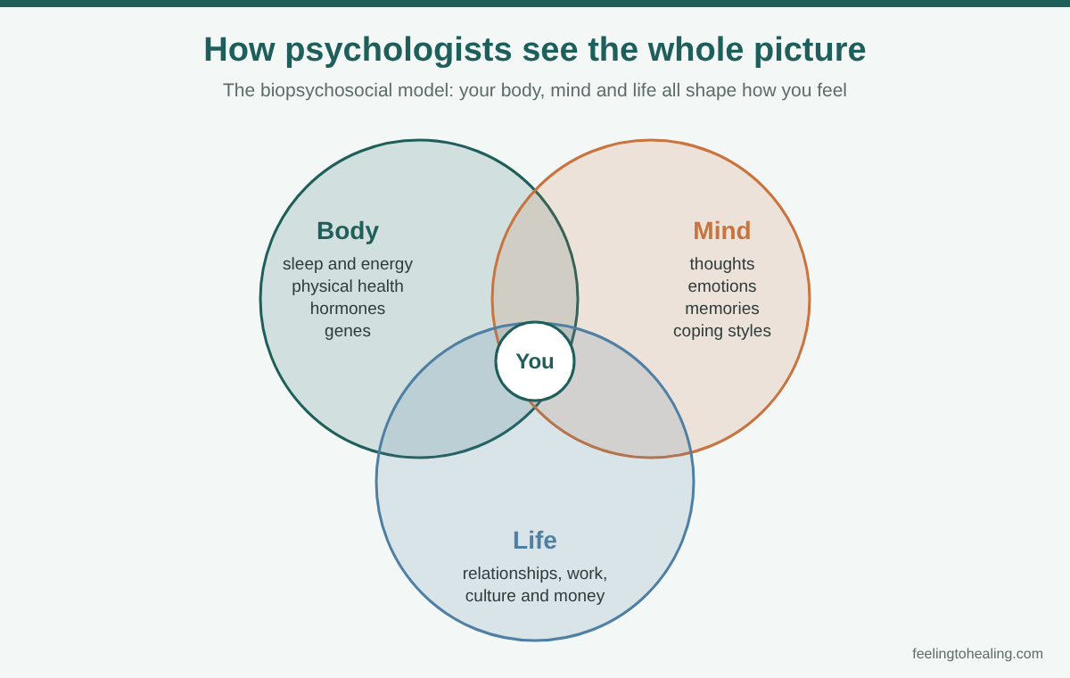 Diagram of the biopsychosocial model used in psychology, showing body, mind and life overlapping around the person