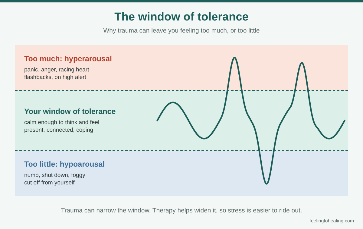 Trauma Therapy and Counselling in London and Online 2 Diagram of the window of tolerance used in trauma therapy, showing hyperarousal above, hypoarousal below and the calm window in between